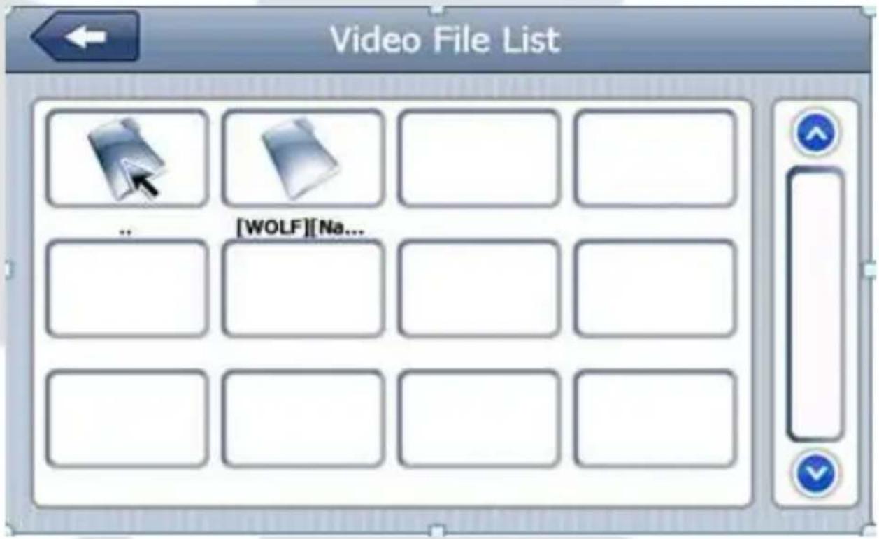 Video File List [WOLF][Na...