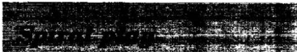 Scanned text of contract clauses or legal document sections