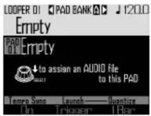 LOOPER 01 PAD BANK 120.0 Empty PAD 01 Empty to assign an AUDIO file to this PAD Tempo Sync Launch —— Quantize In Trigger 1 Bar