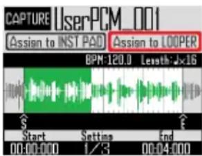CAPTURE UserPCM_001 Assign to INST PAD Assign to LOOPER 8PM:120.0 Length: Jx16 $ Start Setting End 00:00:000 1/3 00:04:00