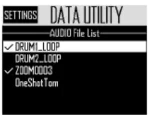 SETTINGS DATA UTILITY AUDIO File List ✓ DRUM1_LOOP DRUM2_LOOP ✓ ZOOM0003 OneShotTom