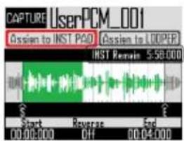 CAPTURE UserPCM_001 Assign to INST PAD Assign to LOOPER INST Remain 5:58.000 Start Reverse End 00:00:000 00:04:000