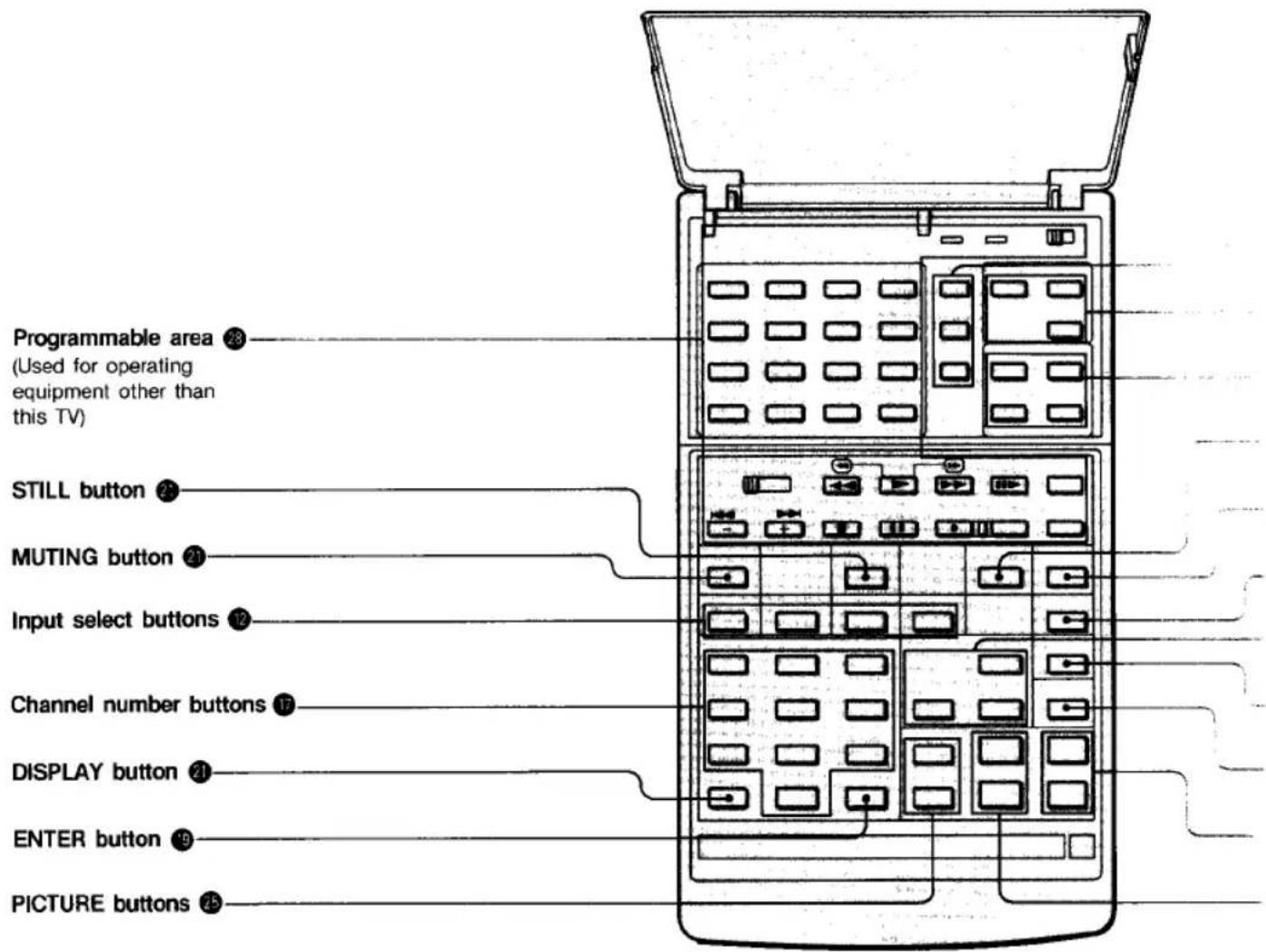 Programmable area 23 (Used for operating equipment other than this TV) STILL button 24 MUTING button 25 Input select buttons 26 Channel number buttons 27 DISPLAY button 28 ENTER button 29 PICTURE buttons 30