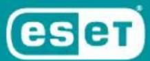 ESET Internet Security 2020 - INTERNET SECURITY - 1