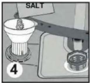 SALT 4