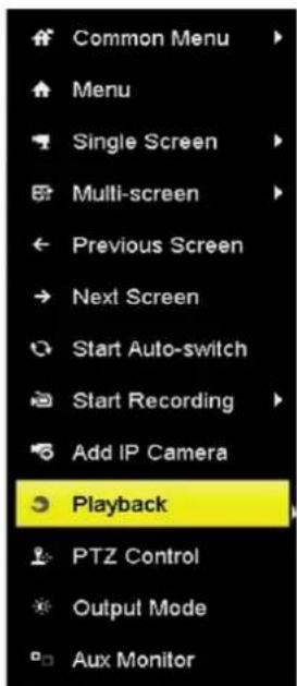 Common Menu Menu Single Screen Multi-screen Previous Screen Next Screen Start Auto-switch Start Recording Add IP Camera Playback PTZ Control Output Mode Aux Monitor