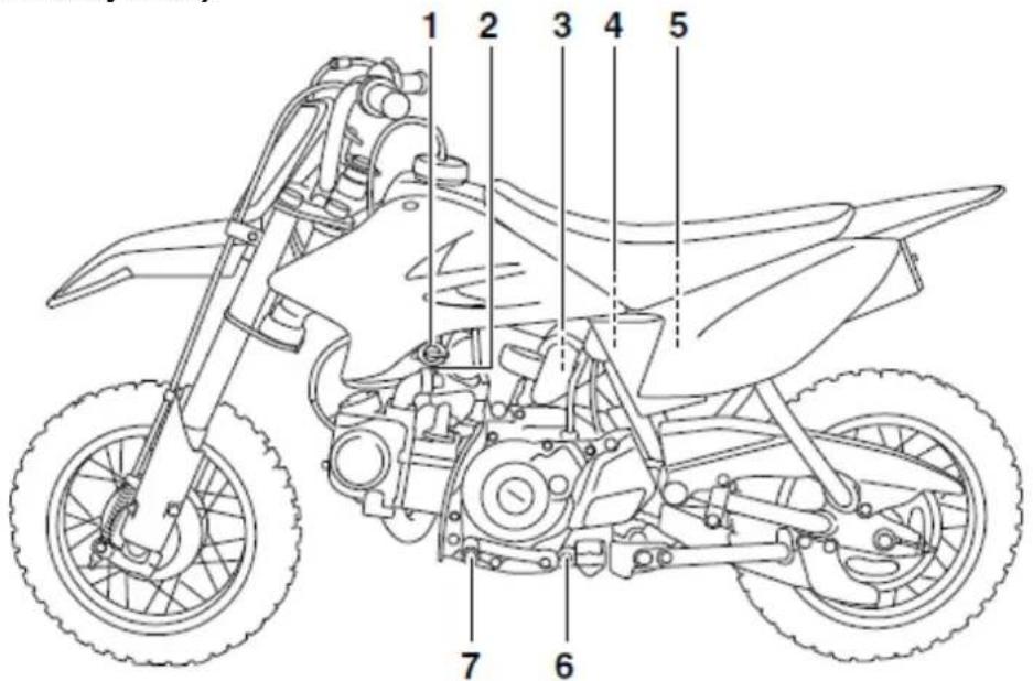 YAMAHA TTR50 (2017) - Widok z lewej strony - 1