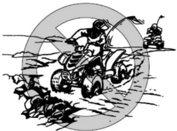 YAMAHA YFZ50 (2016) - OSTRZEŻENIE: - 1