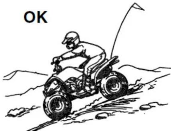YAMAHA YFZ50 (2016) - OSTRZEŻENIE: - 2