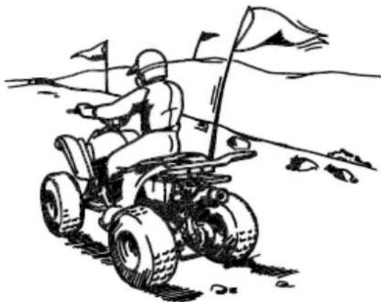 YAMAHA YFZ50 (2016) - OSTRZEŻENIE: - 1
