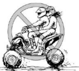 YAMAHA YFZ450 (2017) - OSTRZEŻENIE - 1