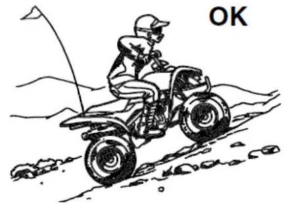 YAMAHA YFM90 (2015) - OSTRZEŻENIE: - 1