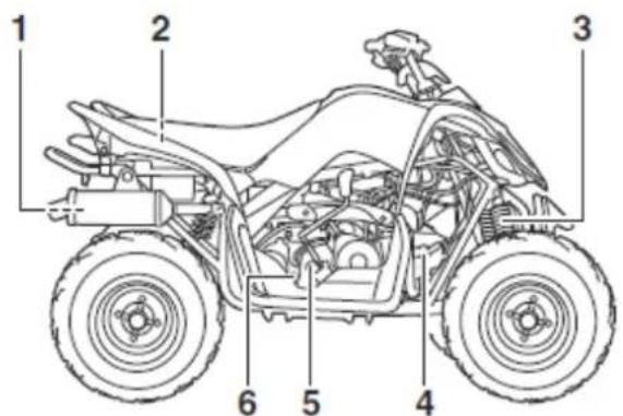 YAMAHA YFM90 (2015) - Widok z prawej strony - 1
