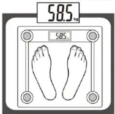 58.5 kg 58.5_