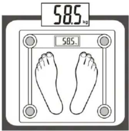 58.5 kg 58.5...