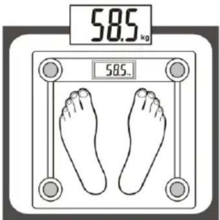 58.5 kg 58.5...