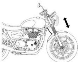 TRIUMPH Bonneville T120 Diamond - ! Ostrzeżenie - 1
