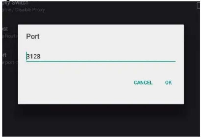 Port 3128 CANCEL OK