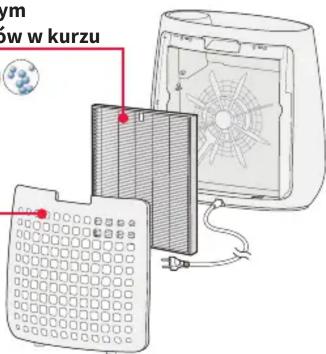 ow w kurzu
