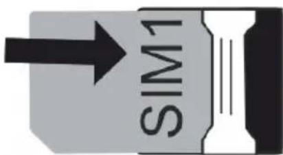 SIM1