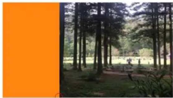Forest scene with tall pine trees and a small figure walking along a path (no visible text or symbols)