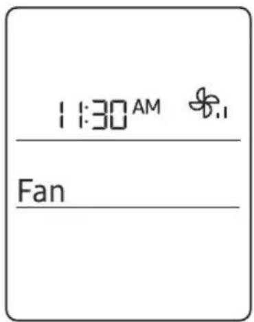 11:30 AM Fan
