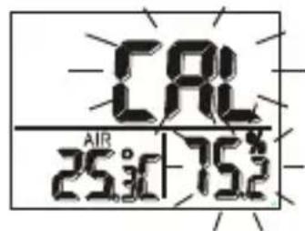 CAL AIR 25:10 175