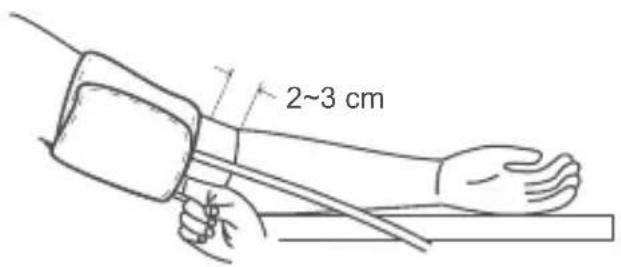 2~3 cm