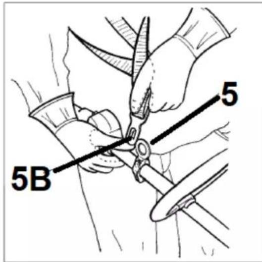 5 5B
