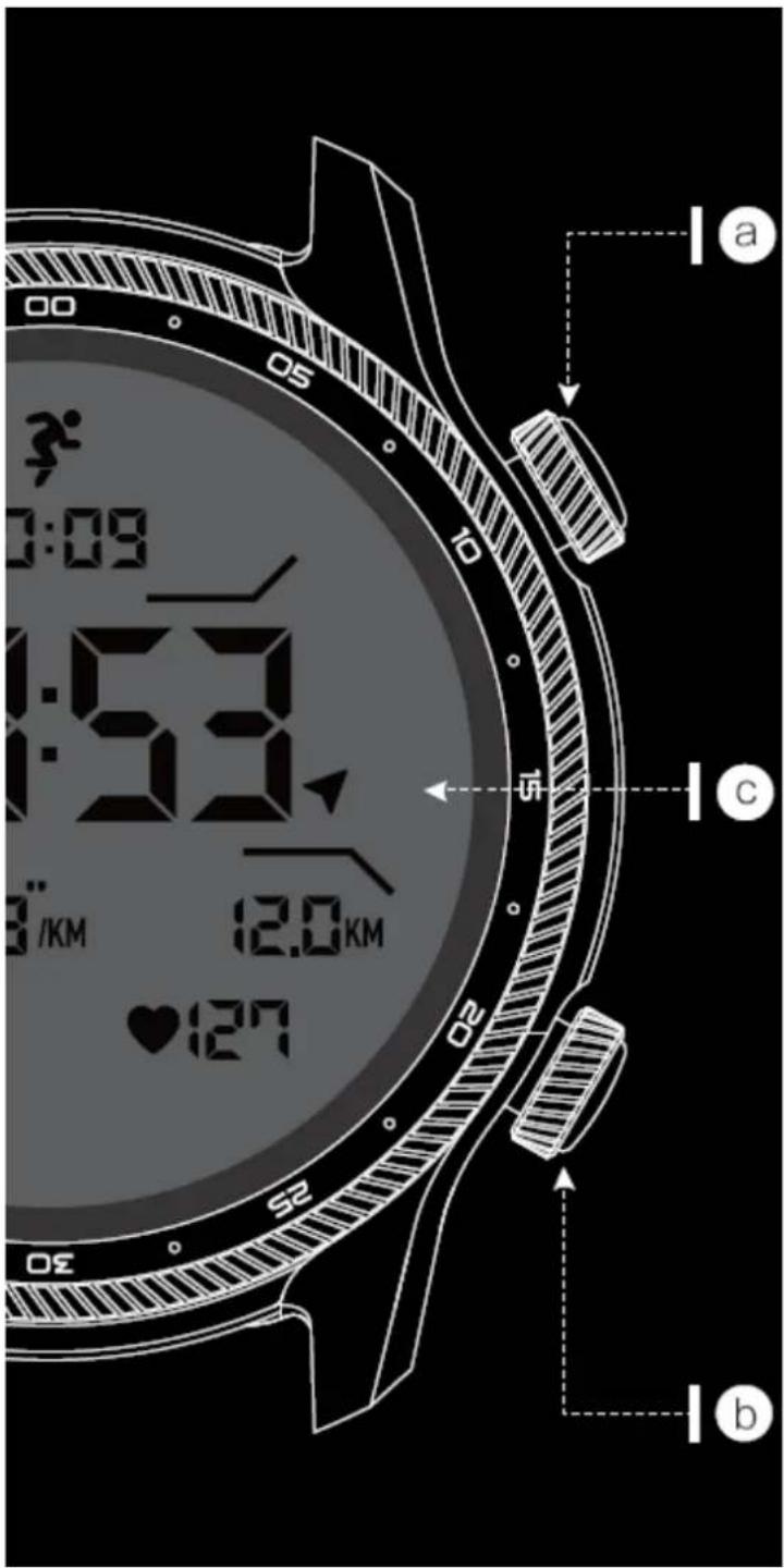 0:09 0:56 1:33 3 /KM 12.0 KM ♥ 127 02 05 10 a c b S2 03
