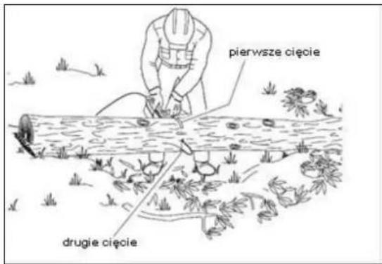 pierwsze cięcie drugie cięcie