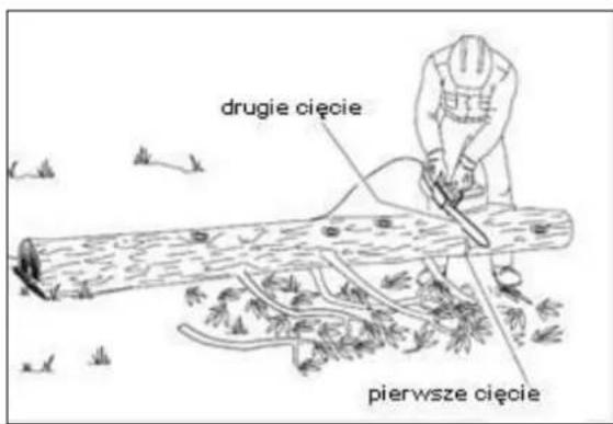 drugie cięcie pierwsze cięcie