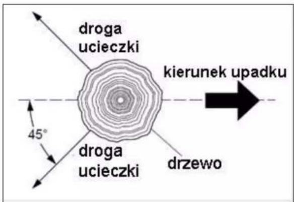droga ucieczki kierunek upadku 45° droga ucieczki drzewo