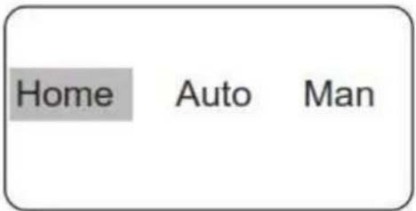 Home Auto Man
