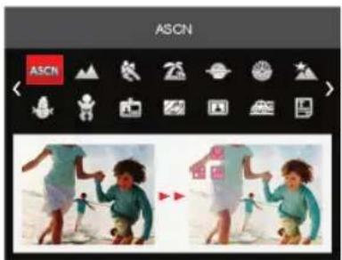 ASCN ASCN