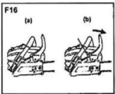 F16 (a) (b)
