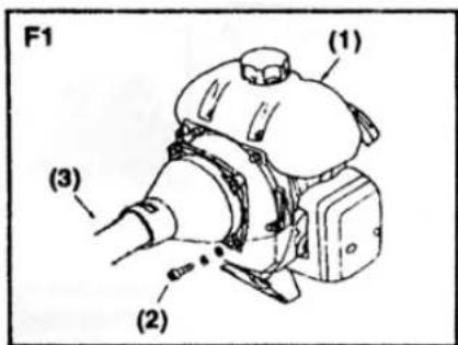 F1 (1) (3) (2)