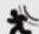 Xblitz IC200 - SPECYFIKACJA: - 6