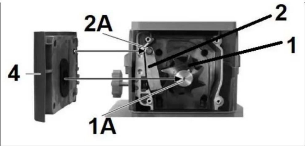 2A 4 1A 2 1