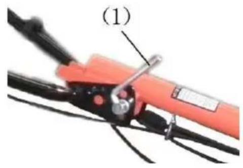 (1)