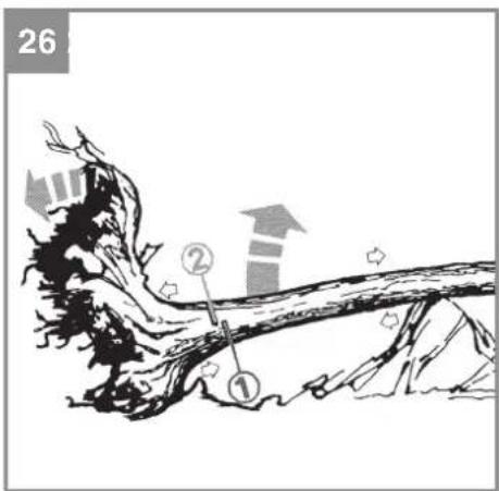 26 ② ①