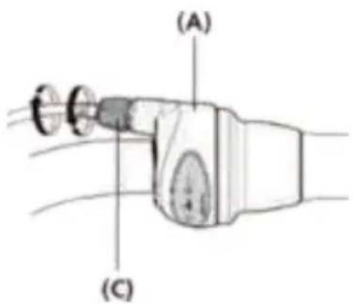 (A) (C)