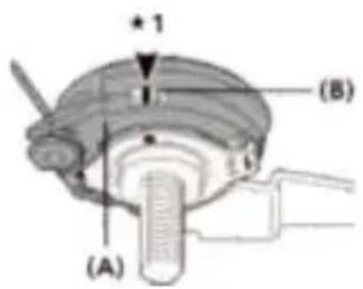 (A) (B)