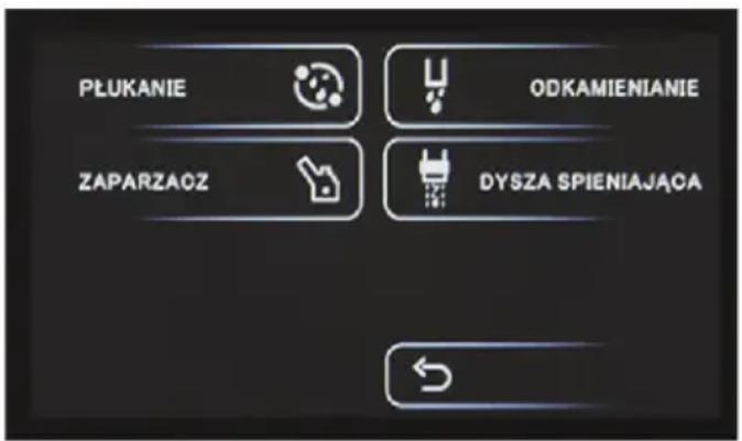 PLUKANIE ODKAMIENIANIE ZAPARZAOZ DYSZA SPIENIAJĄCA
