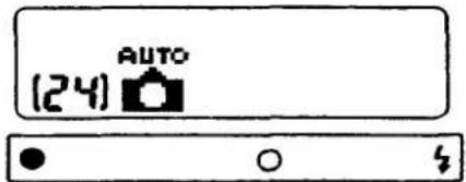 (24) AUTO