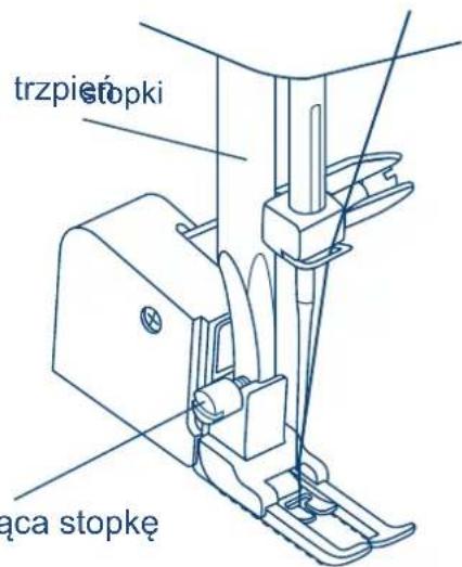 trzpie stopki ąca stopkę