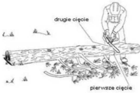 drugie cięcie pierwsze cięcie