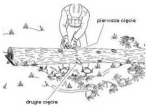 pierwsze cięcie drugie cięcie