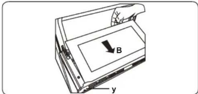 B y