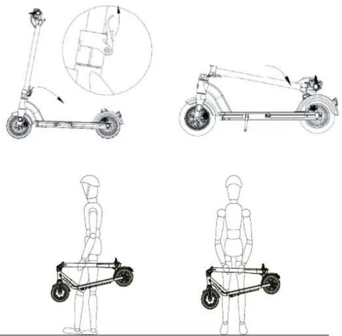 Frugal Stout - Transport - 1